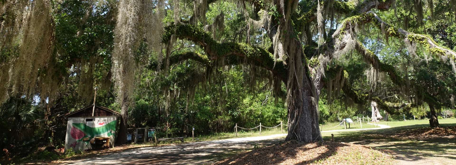 HILTON HEAD